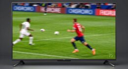 refresh rate determines quality