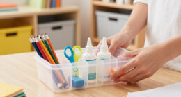 14 Best School Supplies Organizers in 2026