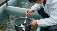 Top Links 1184 Science For Development. Bessent's Intervention. Fish In The Wrong Place & Charlemagne's Canal.
